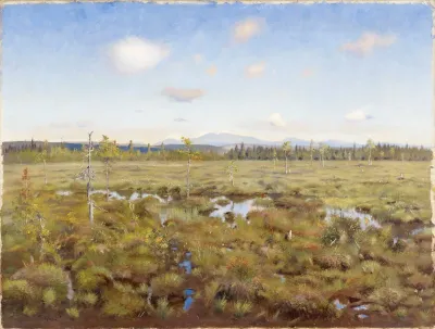 Landscape From Lapland