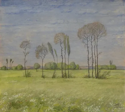 Landscape In Spring