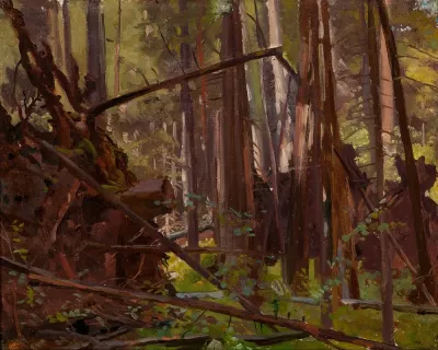 Landscape Morif From Bialowieza