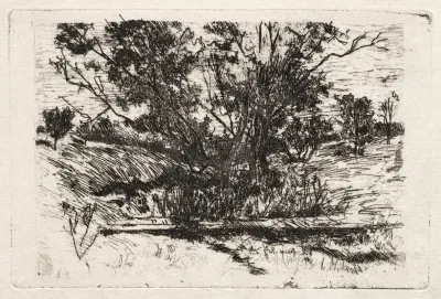 Landscape Near Cincinnati 2