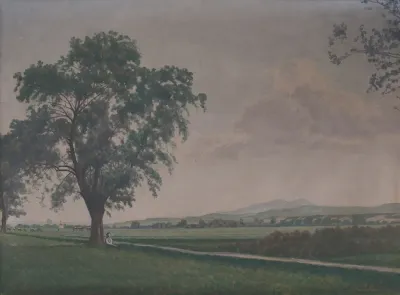 Landscape Near Pribovce Village