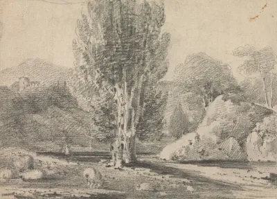 Landscape Study With Tall Tree And Sheep
