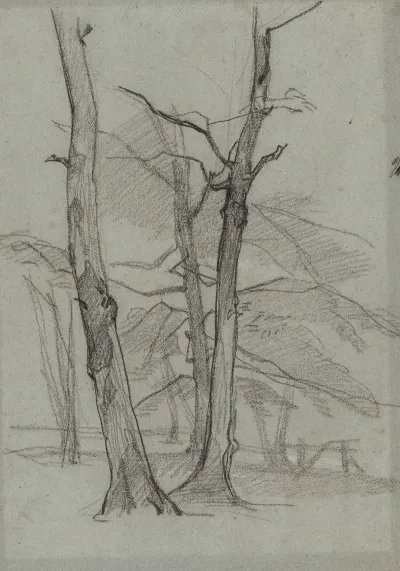 Landscape Study With Trees