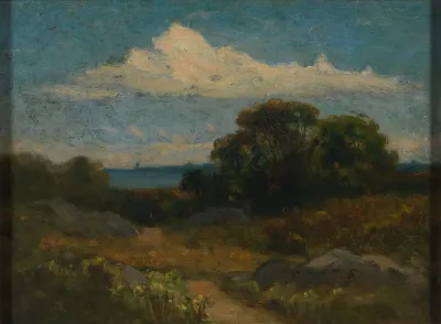 Landscape Trees And Rocks By Lake