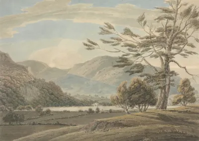 Landscape Trees Lakes And Mountains Lake District