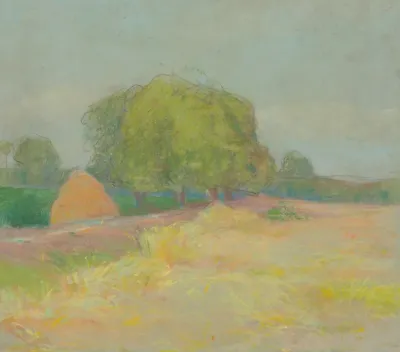Landscape With Bushy Trees