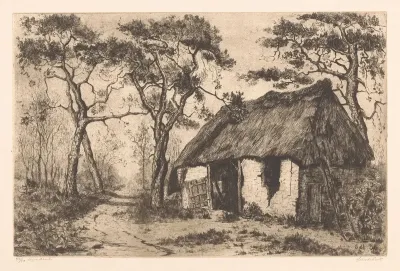 Landweg Met Vervallen Schuur