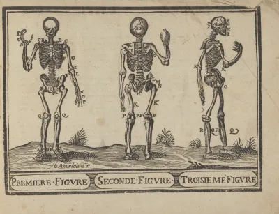 Lart De Dessiner De Maistre Jean Cousin Pl 33