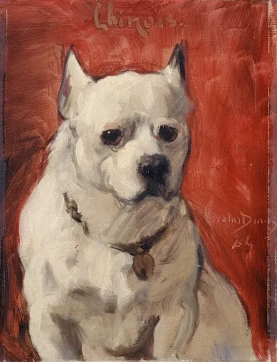 Le Chien Chinois