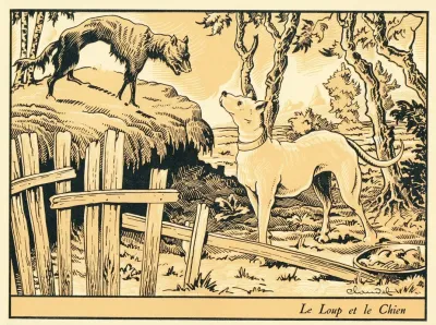 Le Loup Et Le Chien
