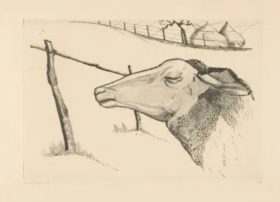 Le Mouton Endormi