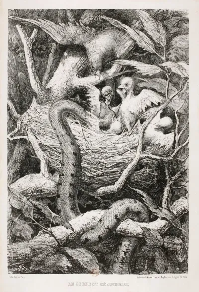 Le Serpent Denicheur
