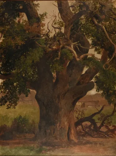 Le Vieux Chene Etude
