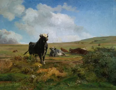Leader Of The Herd