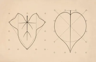Leaf And Apple Heart