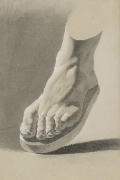 Left Foot