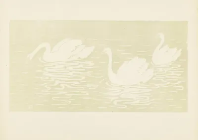 Les Cygnes 3