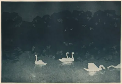 Les Cygnes