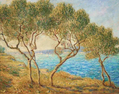 Les Oliviers Effet De Soleil Aux Martigues