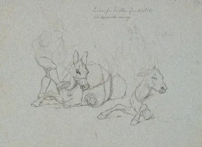 Liggende Aesel Der Piskes Og Sparkes Af En Forer Th To Studier Af Et Liggende Og Et Staende Aesel