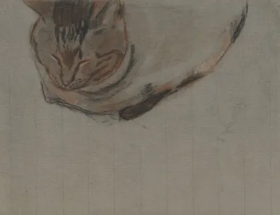 Liggende Kat 3