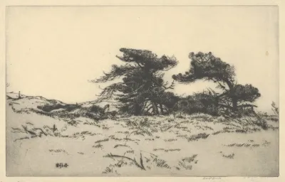 Lighthouse Pines No 2