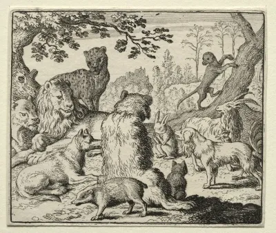 Lion Orders Search For Reynard