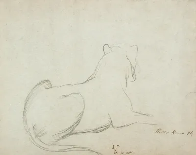 Lioness 2