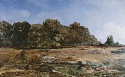 Lisiere De La Foret De Fontainebleau