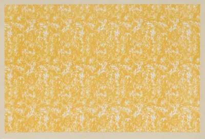 Lithografiertes Papier Marmorimitation