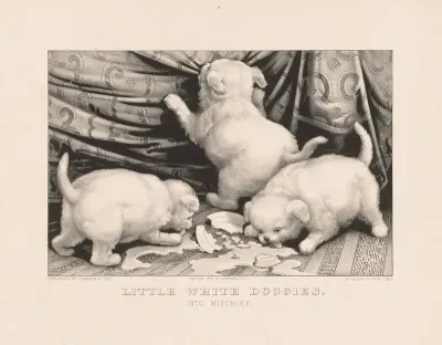 Little White Doggies Into Mischief