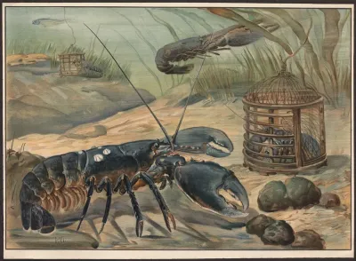 Lobster 2