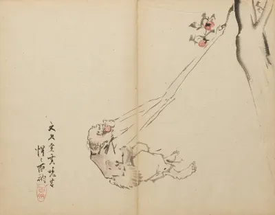 Long Arms Snatching Fruit