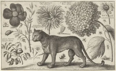 Luipaard Bloemen En Insecten