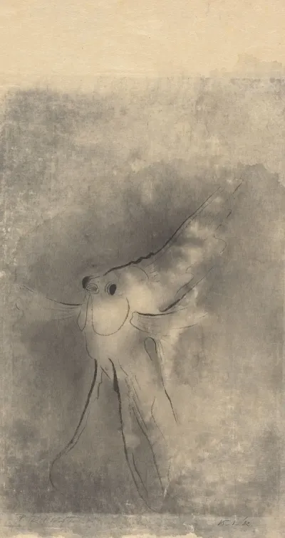 Maanvis