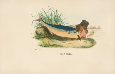 Mac Arel