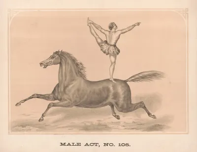 Male Act No 105