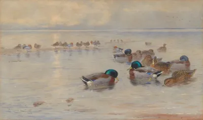 Mallards On A Lake 2