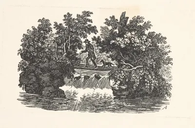 Man And Dog Near Waterfall
