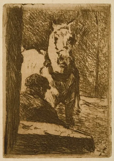 Man Seen From The Back And Horse