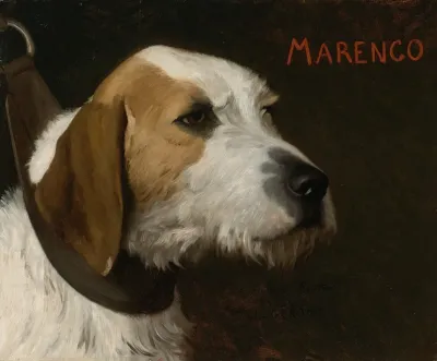 Marengo