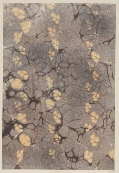 Marmorpapier 4