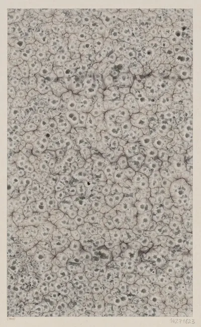 Marmorpapier 59