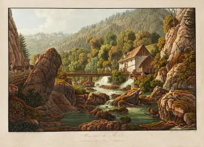 Martinet De Roche