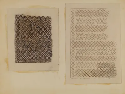 Material Woven From Cat Tails