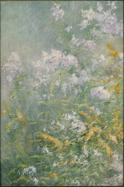 Meadow Flowers Golden Rod And Wild Aster