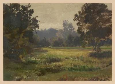Meadow In Spreewald