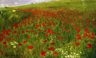 Meadow With Poppies