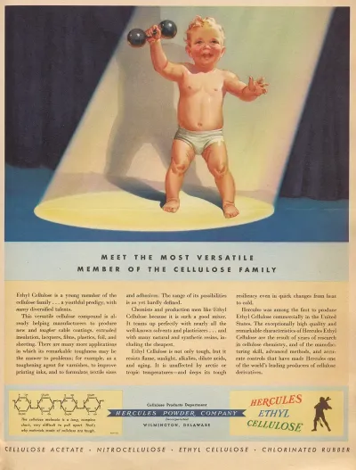 Meet The Most Versatile Member Of The Cellulose Family