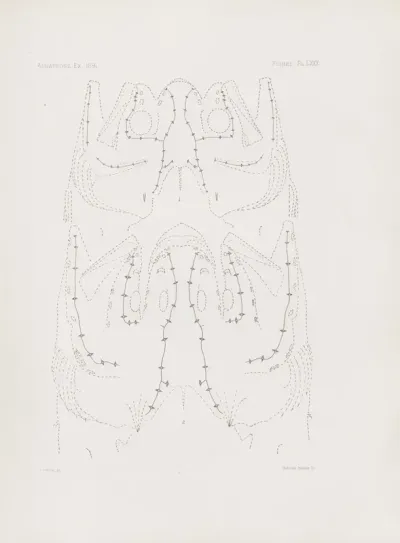 Memoirs Of The Museum Of Comparative Zoology At Harvard College Pl 80